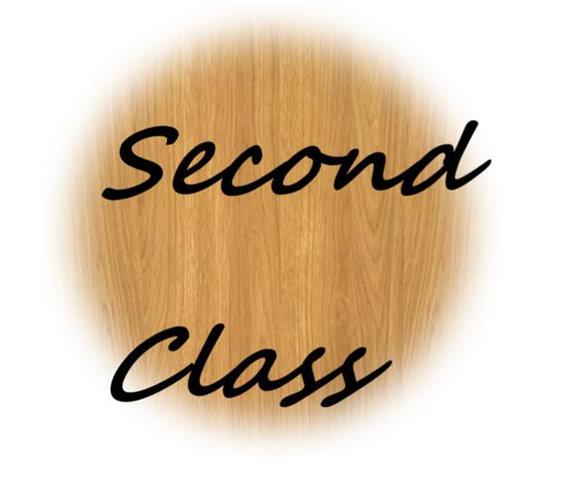 logo-第二课堂の华丽logo