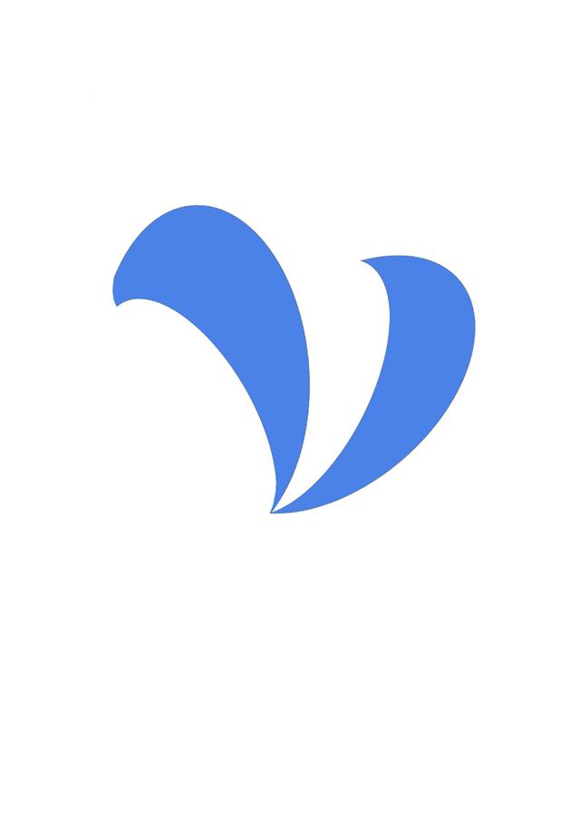 logo-飞跃