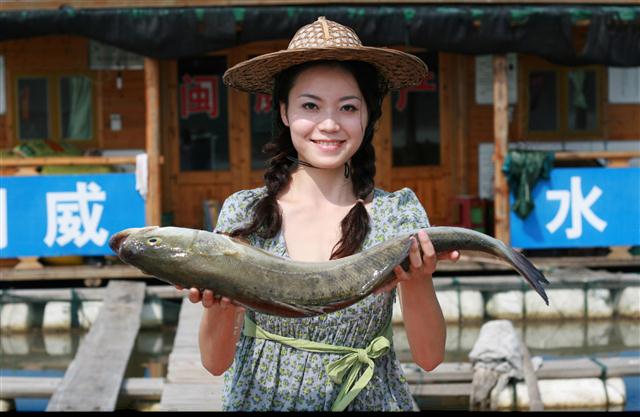 中国鲈鱼 (2).png